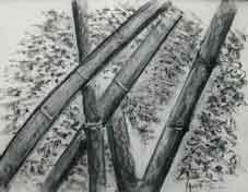 Voir le détail de cette oeuvre: les bambous noirs